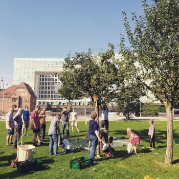 Menschen ernten Äpfel im Lohsepark